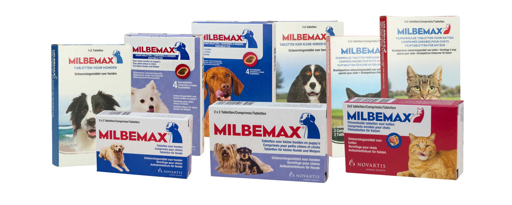 Betrouwbare wormbestrijding | Milbemax Tabletten Kitten