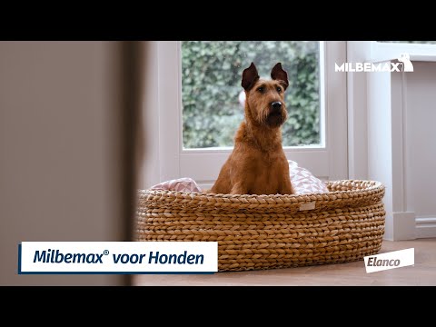 Milbemax Kauwtabletten Hond