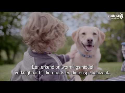 Milbemax Kauwtabletten Hond